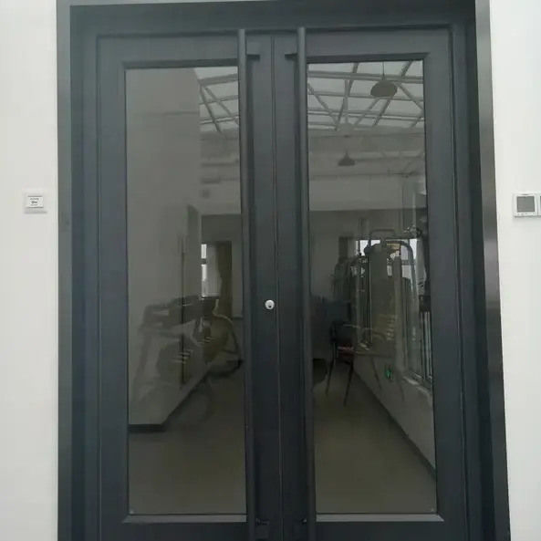OEM UPVC en acier inoxydable en aluminium Porte à double bascule porte kfc épaisseur 1,2 mm
